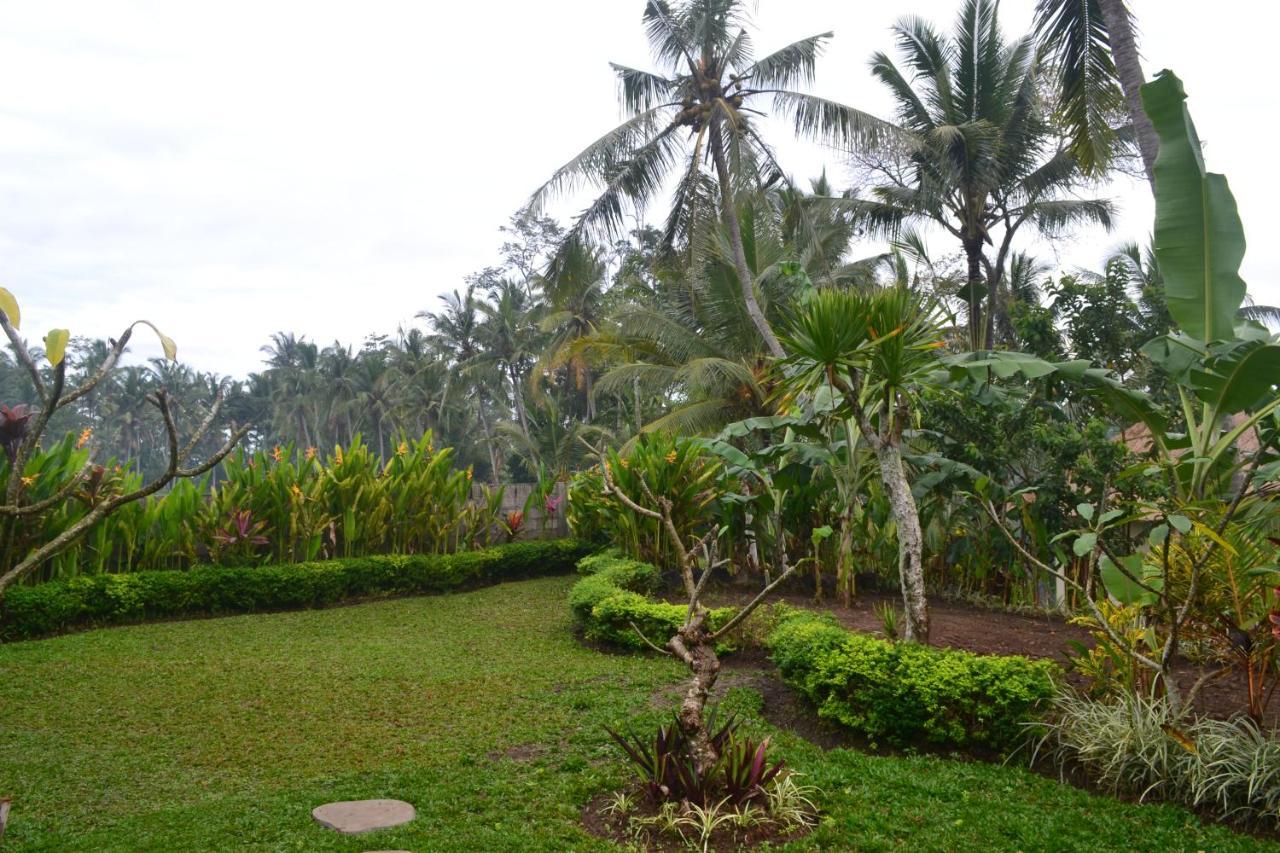 Buda Cottage Ubud Exteriér fotografie