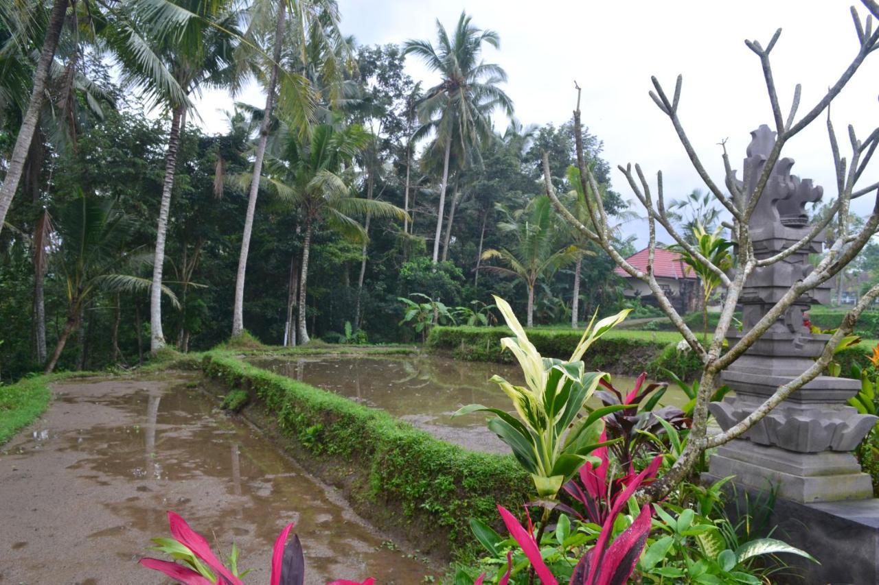 Buda Cottage Ubud Exteriér fotografie