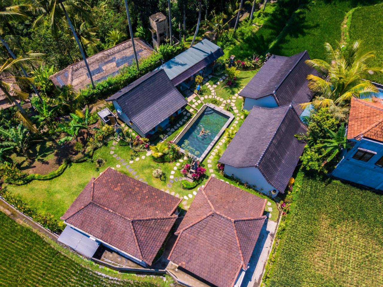 Buda Cottage Ubud Exteriér fotografie